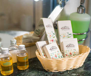 Готель «ТуСтань» - Стандарт двомісний А